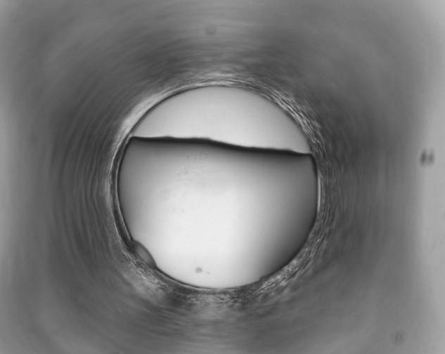 X0000091210147200708091123
