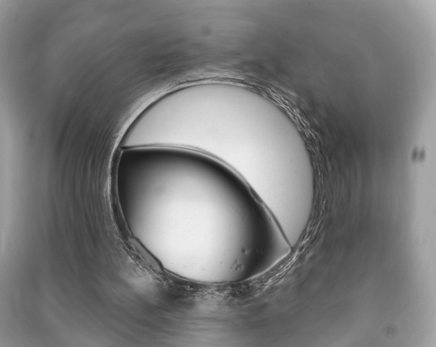 X0000091210148200708091123