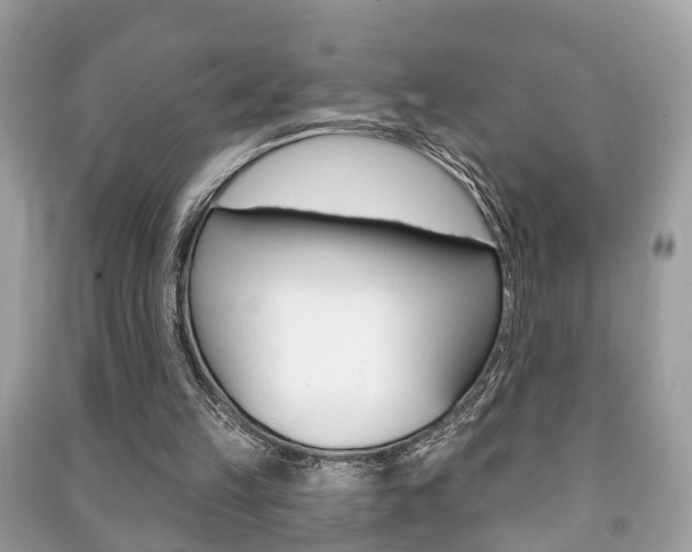 X0000091210149200708091123