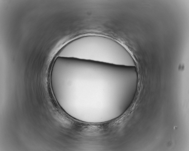 X0000091210151200708091123