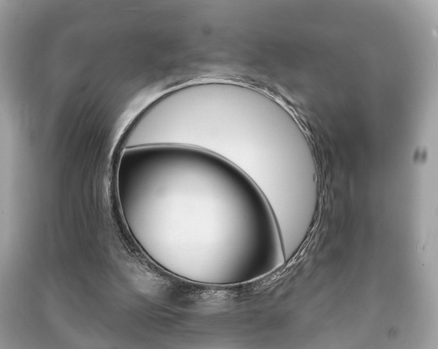 X0000091210152200708091123