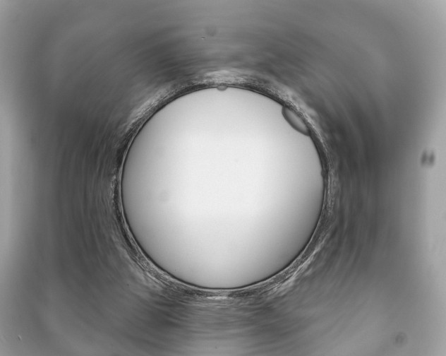X0000091210153200708091123