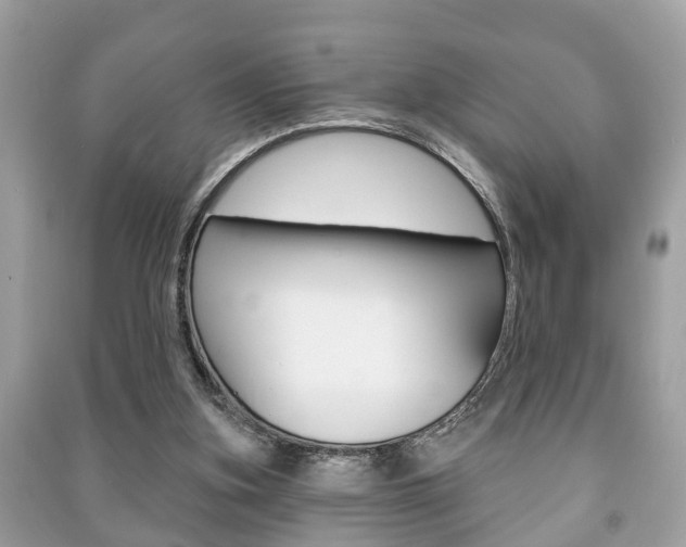 X0000091210155200708091123