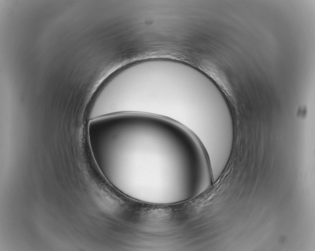 X0000091210156200708091123