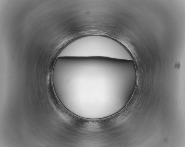 X0000091210157200708091123