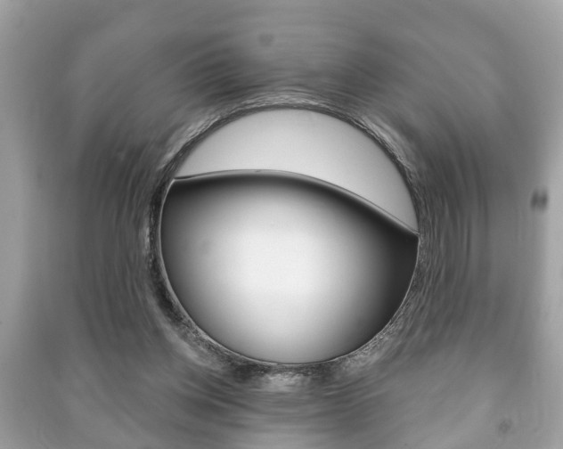 X0000091210158200708091123
