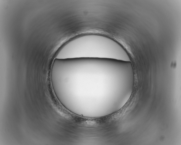 X0000091210159200708091123