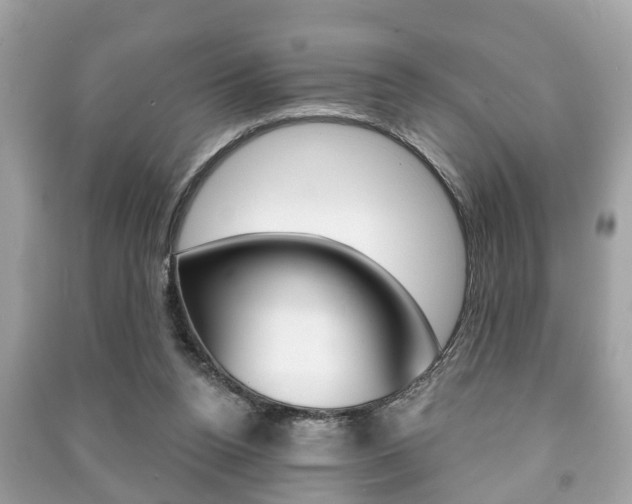 X0000091210160200708091123