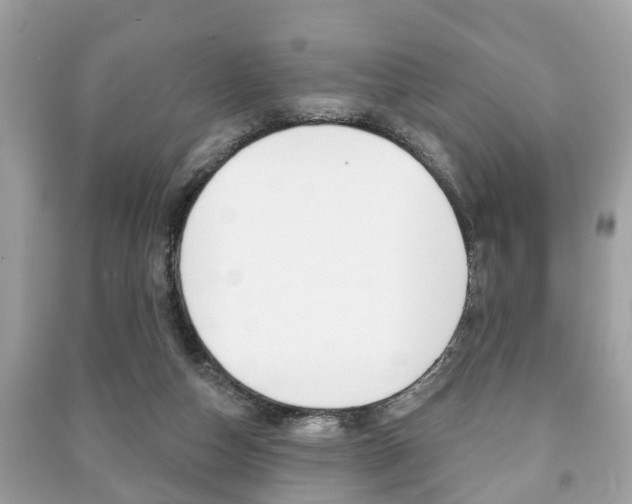 X0000091210162200708091123