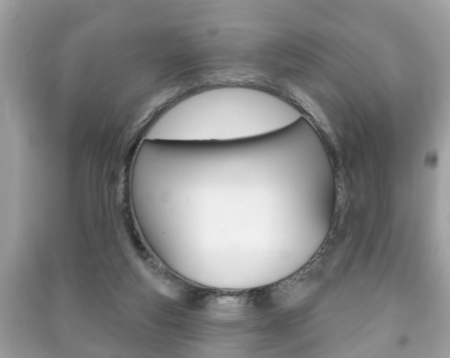 X0000091210163200708091123