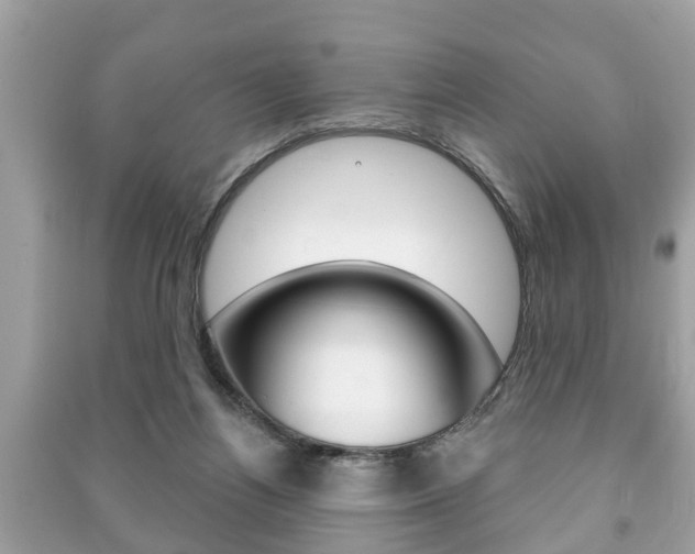 X0000091210164200708091123