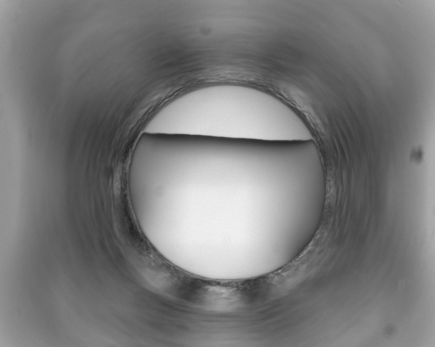 X0000091210167200708091123