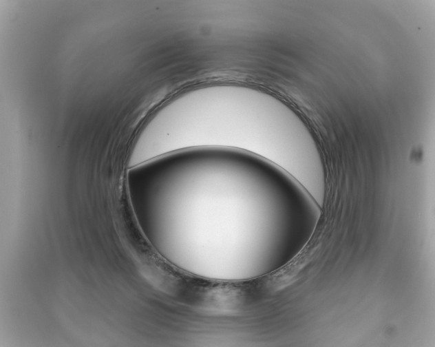 X0000091210168200708091123