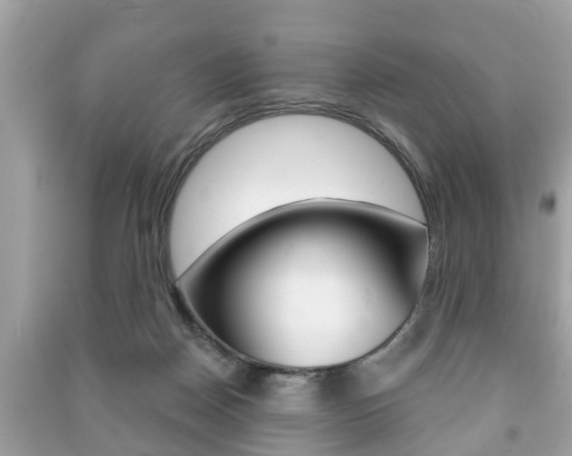 X0000091210170200708091123