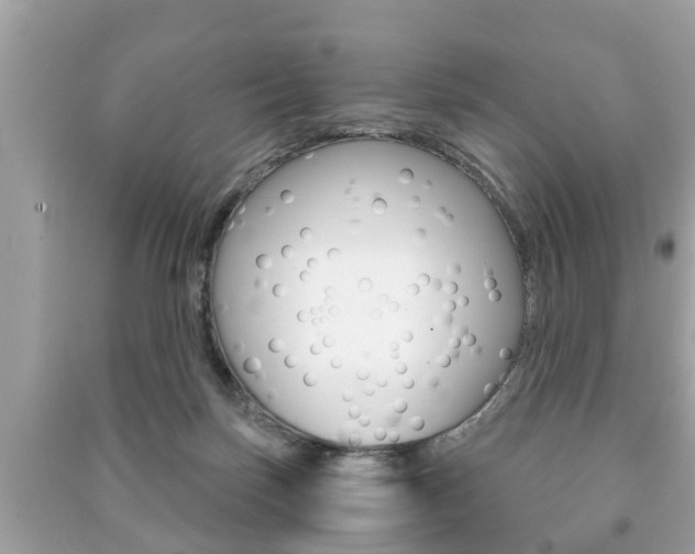 X0000091210171200708091123
