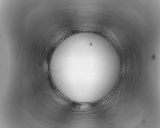 X0000091210173200708091123