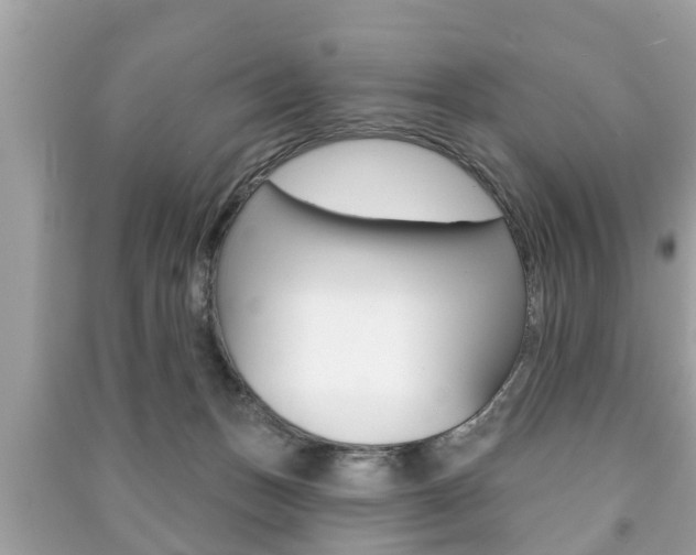 X0000091210175200708091123