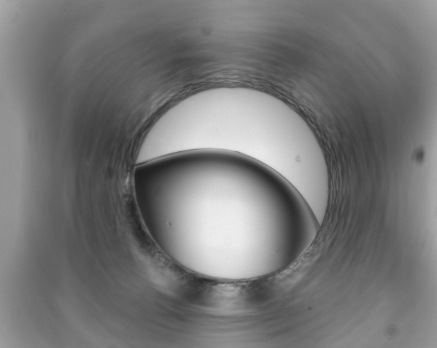 X0000091210176200708091123