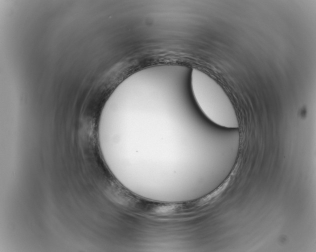 X0000091210178200708091123