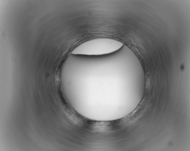 X0000091210179200708091123