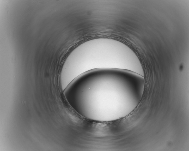 X0000091210180200708091123