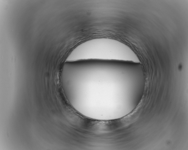 X0000091210182200708091123