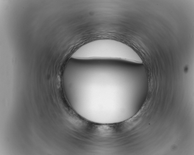 X0000091210183200708091123