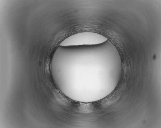 X0000091210185200708091123