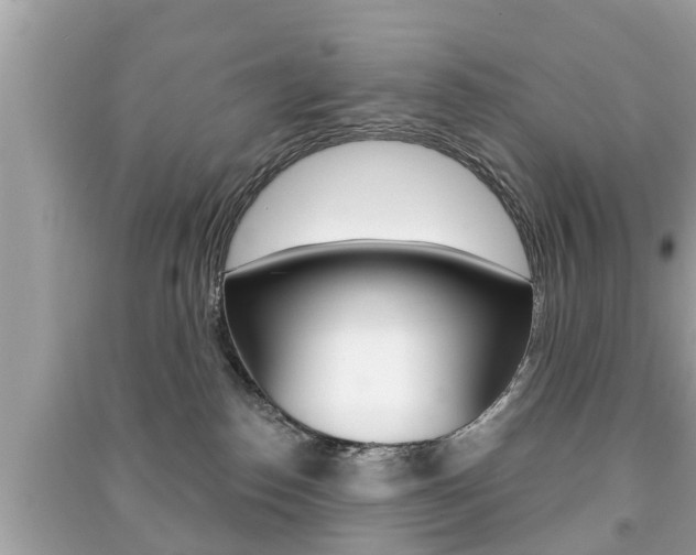 X0000091210186200708091123