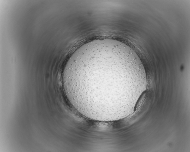 X0000091210187200708091124