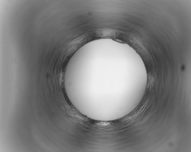 X0000091210189200708091124