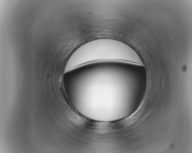 X0000091210192200708091124