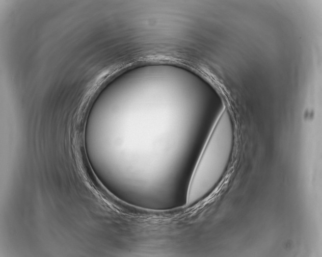 X0000091210193200708091123