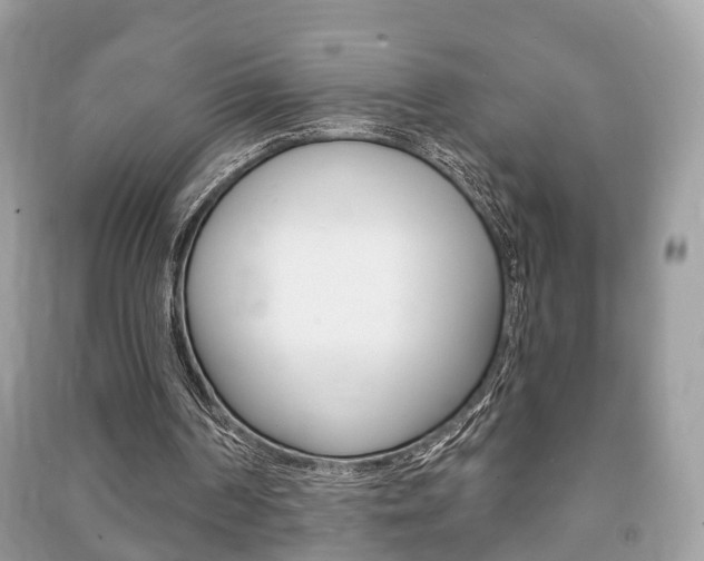 X0000091210194200708091123