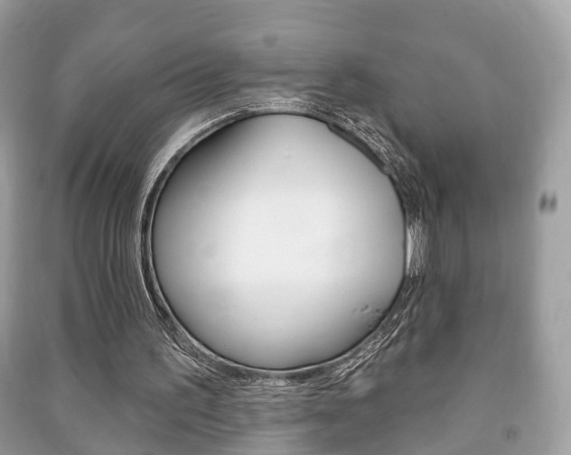 X0000091210195200708091123