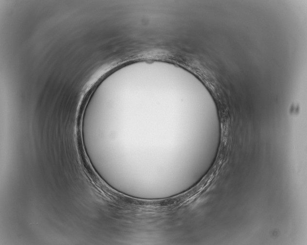 X0000091210196200708091123