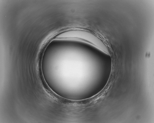 X0000091210197200708091123