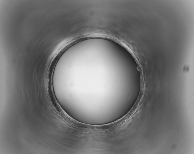 X0000091210199200708091123