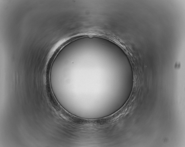 X0000091210200200708091123