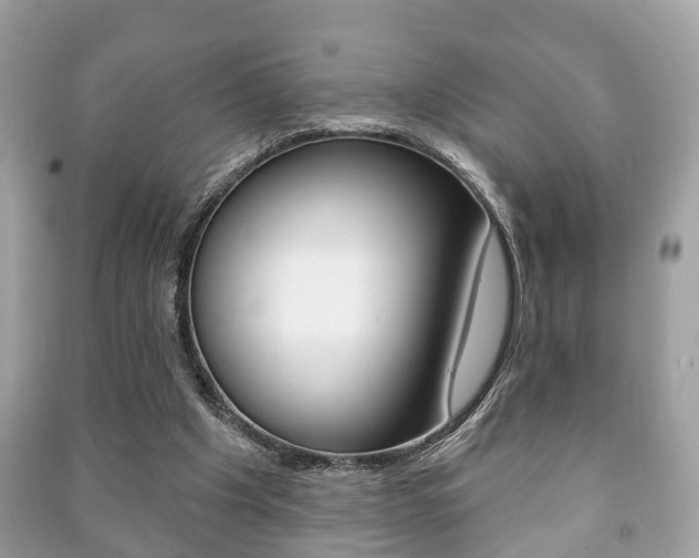 X0000091210201200708091123