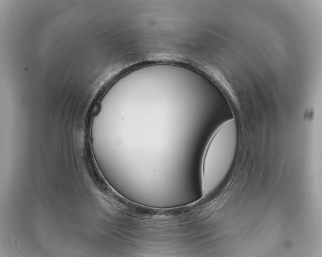 X0000091210204200708091123