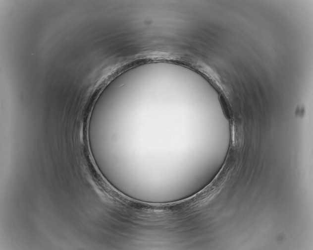 X0000091210205200708091123