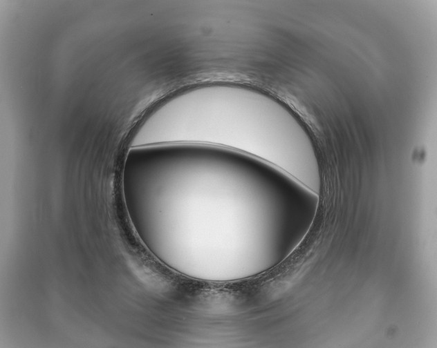 X0000091210207200708091123