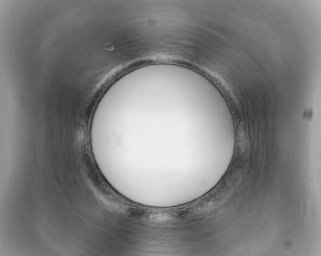 X0000091210208200708091123