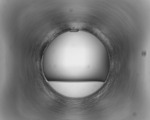 X0000091210209200708091123