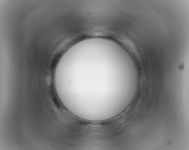 X0000091210210200708091123