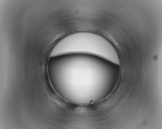 X0000091210211200708091123