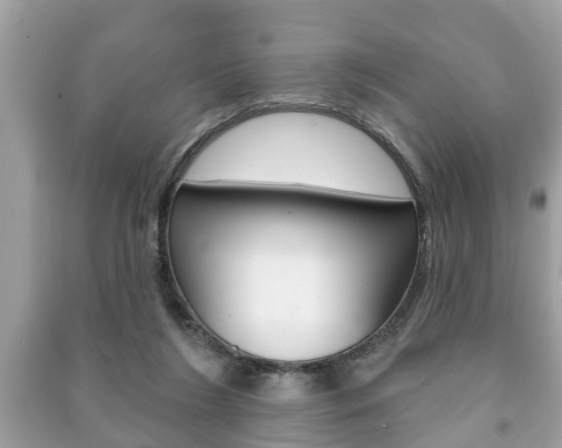 X0000091210212200708091123