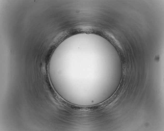 X0000091210213200708091123