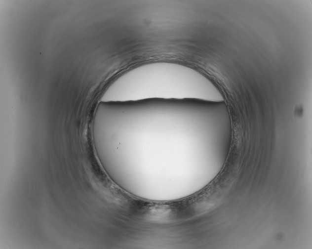 X0000091210214200708091123